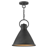 Hinkley Lighting Winnie 12" Wide Pendant