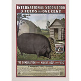 Hog Food-VINAPP114434 Print 15"x10.25" by Vintage Apple Collection