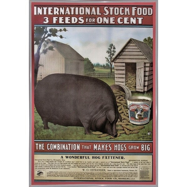 Hog Food-VINAPP114434 Print 15"x10.25" by Vintage Apple Collection