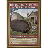 Hog Food-VINAPP114434 Print 15"x10.25" by Vintage Apple Collection