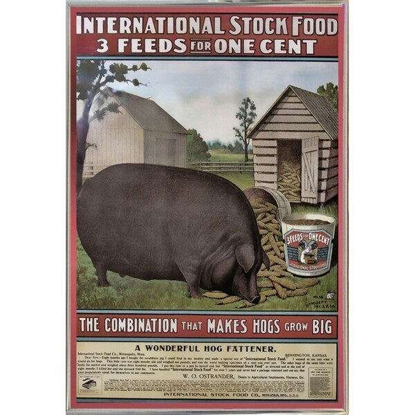 Hog Food-VINAPP114434 Print 15"x10.25" by Vintage Apple Collection