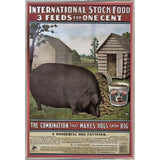 Hog Food-VINAPP114434 Print 15"x10.25" by Vintage Apple Collection