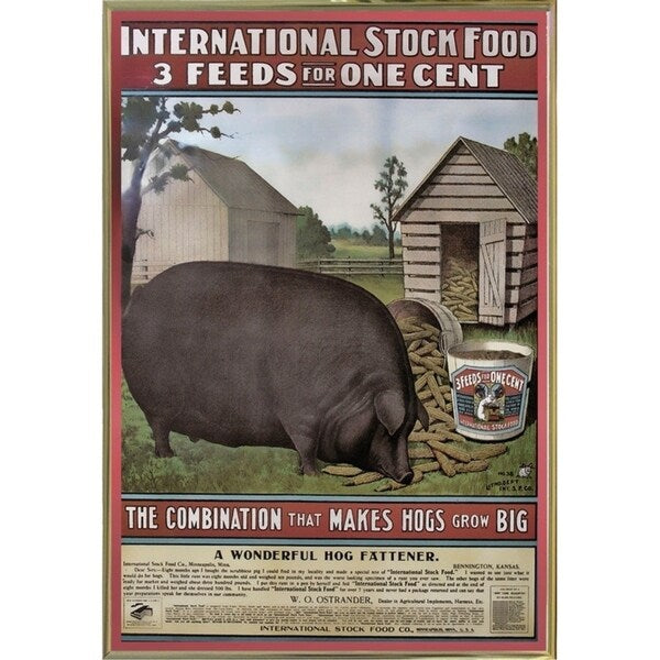 Hog Food-VINAPP114434 Print 15"x10.25" by Vintage Apple Collection
