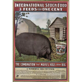 Hog Food-VINAPP114434 Print 15"x10.25" by Vintage Apple Collection