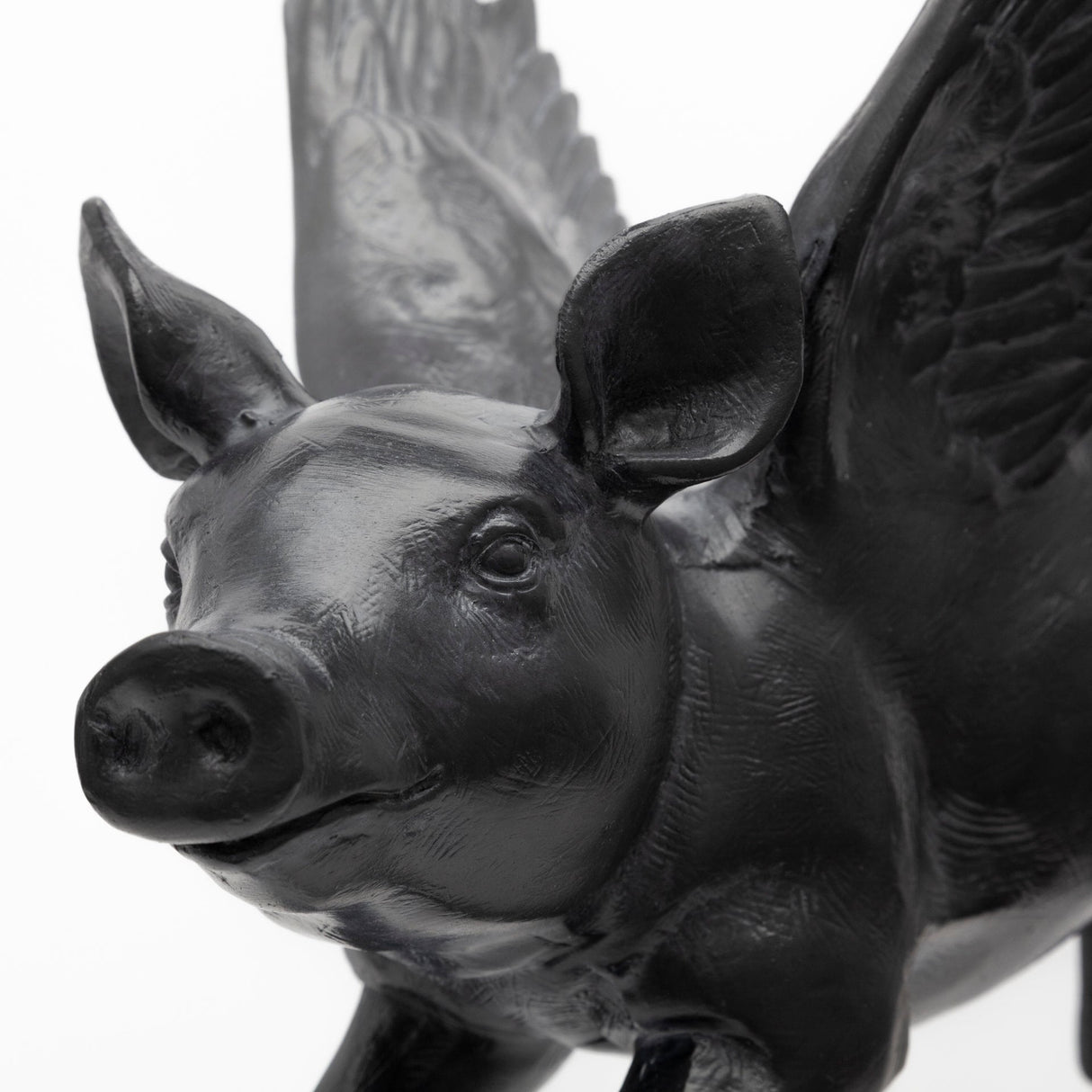 Hogbadi Black Resin Flying Pigs Decorative Wall Accents, Set of 2