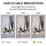 Hollywood LED Full Body Mirror with 3 Color Mode Lights