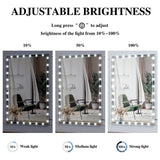 Hollywood LED Full Body Mirror with 3 Color Mode Lights
