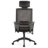 Home Office Chairs Ergonomic Desk Chair with Lumbar Support