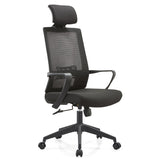 Home Office Chairs Ergonomic Desk Chair with Lumbar Support