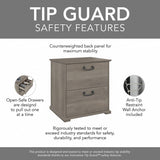 Homestead Farmhouse 2 Drawer Accent Cabinet by Bush Furniture