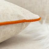 Homey Cozy Embroidery Throw Pillow Cover & Insert ( Set of 2 )