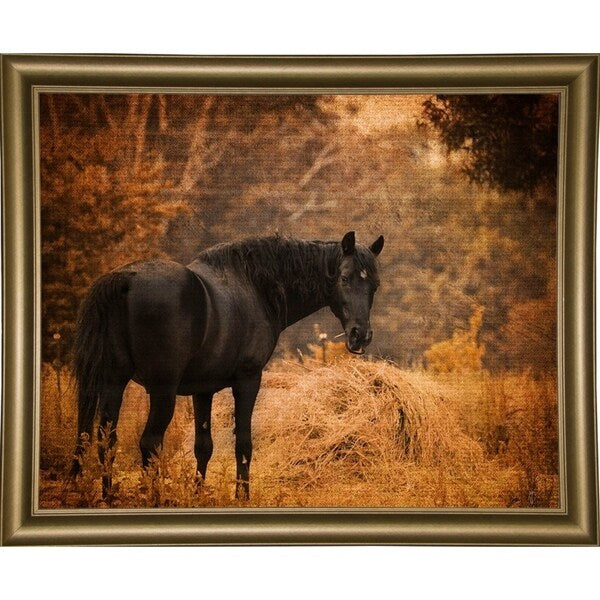 Horse And The Haystack-JAIJOH139781 Print 10.75"x13.25" by Jai Johnson