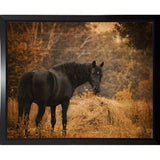 Horse And The Haystack-JAIJOH139781 Print 10.75"x13.25" by Jai Johnson