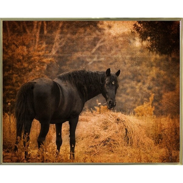Horse And The Haystack-JAIJOH139781 Print 10.75"x13.25" by Jai Johnson