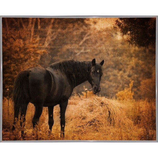 Horse And The Haystack-JAIJOH139781 Print 10.75"x13.25" by Jai Johnson