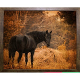 Horse And The Haystack-JAIJOH139781 Print 10.75"x13.25" by Jai Johnson