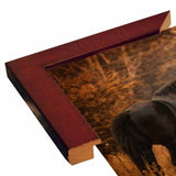 Horse And The Haystack-JAIJOH139781 Print 10.75"x13.25" by Jai Johnson
