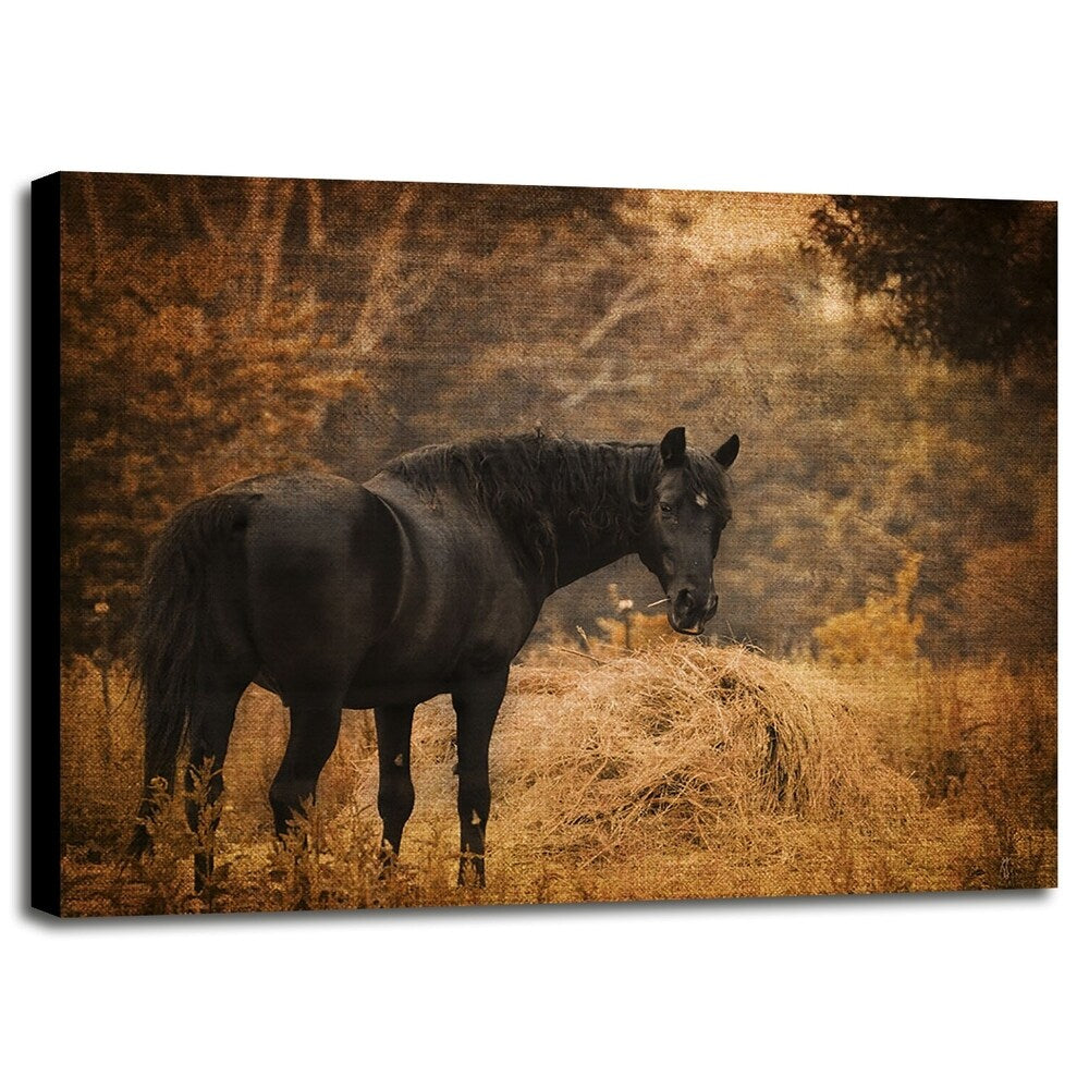 Horse And The Haystack-JAIJOH139781 Print 10.75"x13.25" by Jai Johnson