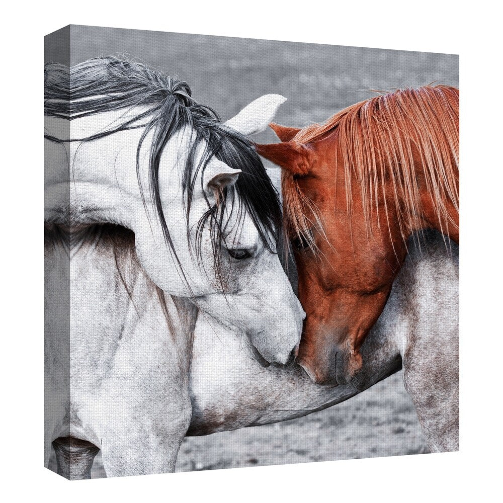 Masterpiece Art Gallery Horse Of A Different Color By Belle Maison Canvas Art Print