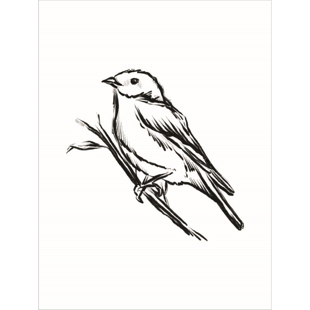 House Fenway 'Songbird Sketch II' Framed Art