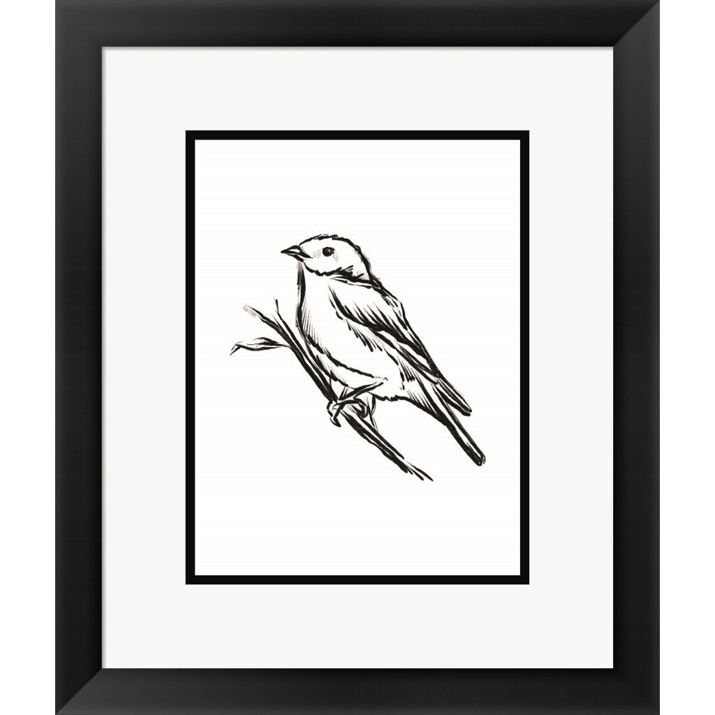 House Fenway 'Songbird Sketch II' Framed Art