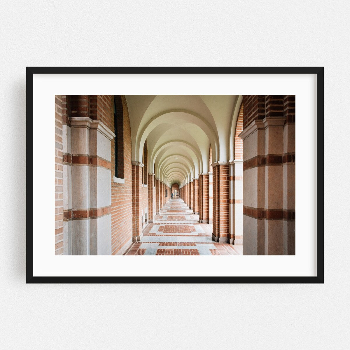 Houston Texas Arches Rice University 01 Photography Art Print/Poster