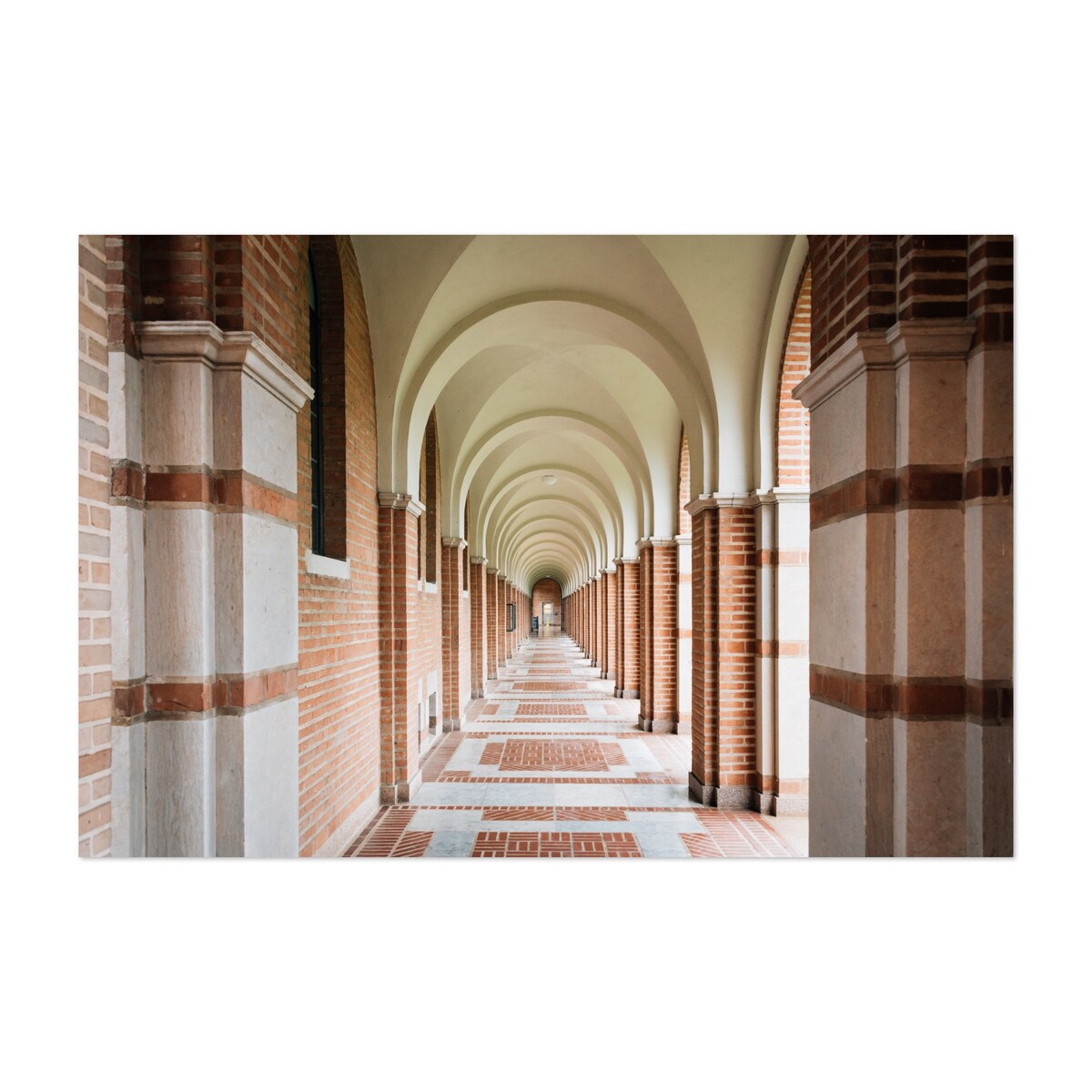 Houston Texas Arches Rice University 01 Photography Art Print/Poster
