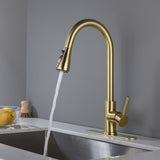 Hugo Pull Out Kitchen Faucet - 2.1W x 10.6L x 16.5H inches