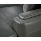 Hydeline Elm Top Grain Leather Sectional Sofa with Chaise
