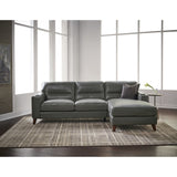Hydeline Elm Top Grain Leather Sectional Sofa with Chaise