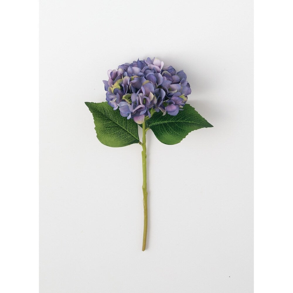 Sullivans Hydrangea Stem