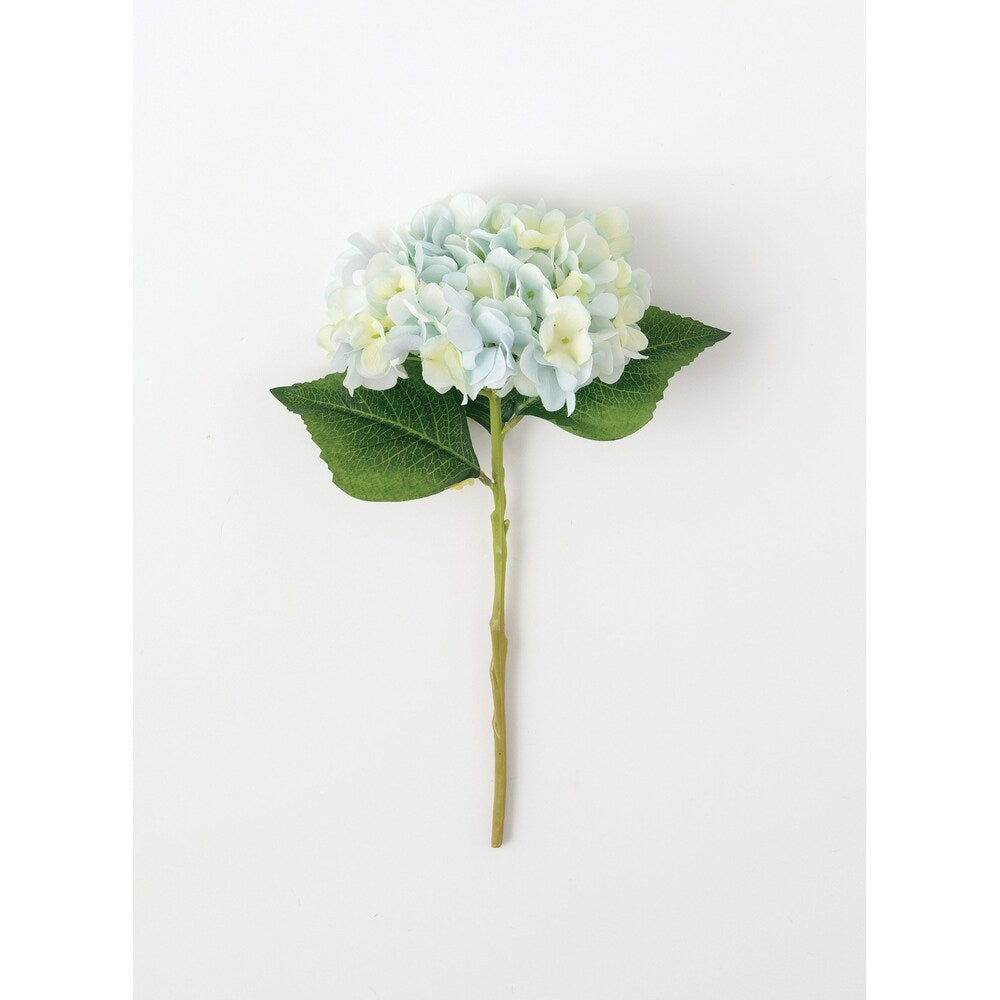 Sullivans Hydrangea Stem