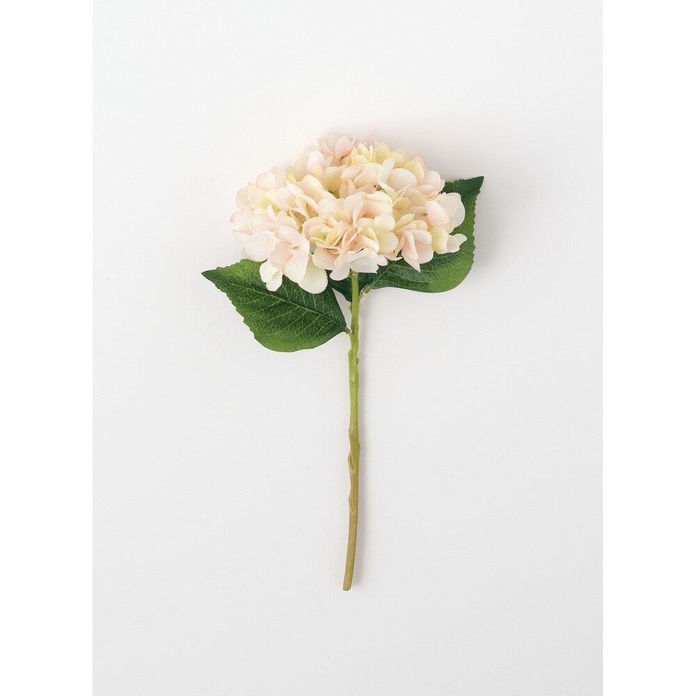Sullivans Hydrangea Stem