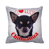 I Love My Chihuahua Throw Pillow