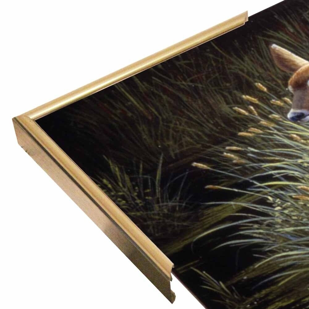 In The Tall Grass-WILGOE78983 Framed Print 16.25"x22.75" by Wilhelm Goebel