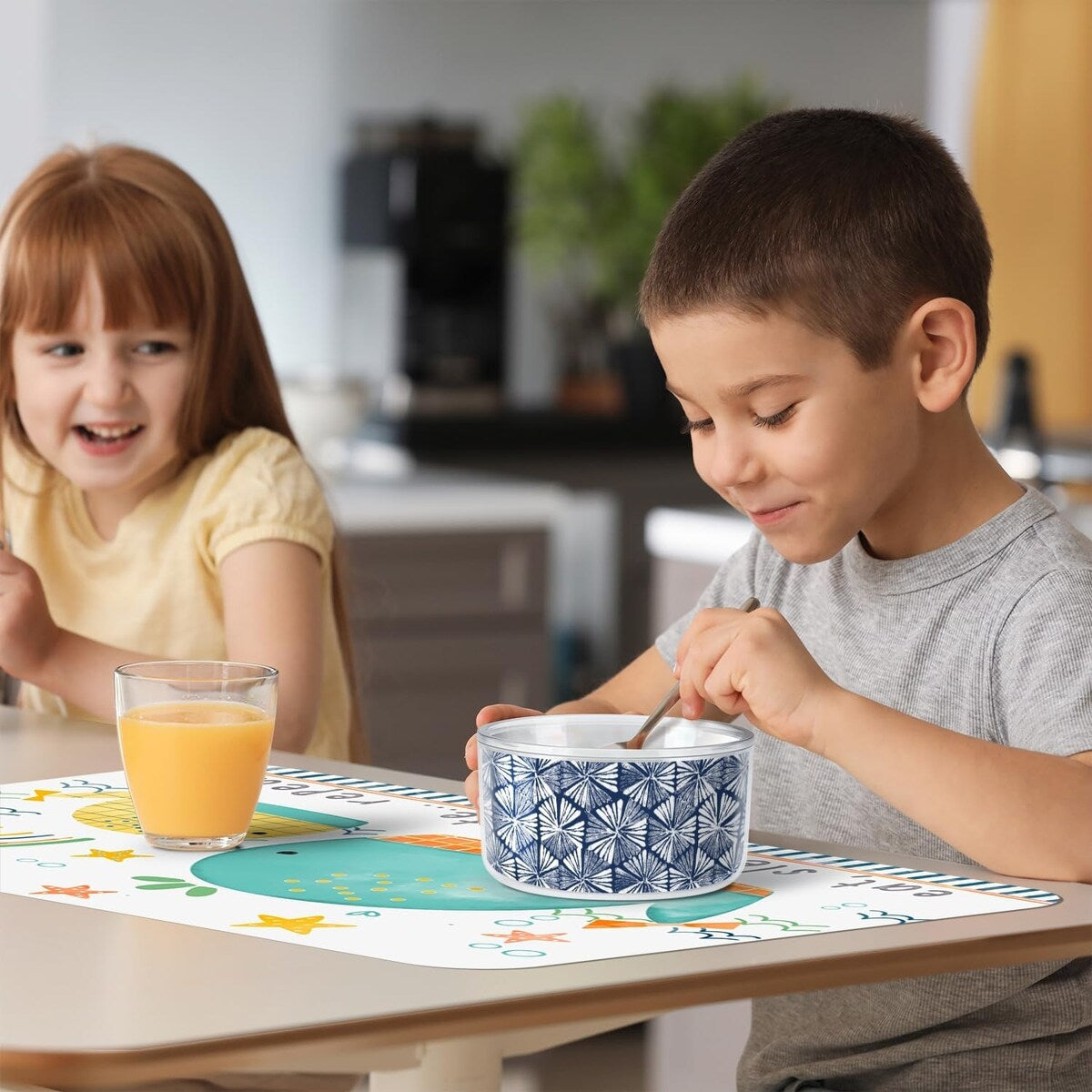 Indigo Flowers Double Wall Unbreakable Plastic Travel Bowl with Lid Holds 22 Ounces BPA Free Microwave Safe Dishwasher Safe