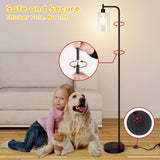 Industrial Floor Lamp, Dimmable Modern Standing Lamp with Clear Glass Shade - Black