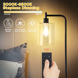 Industrial Floor Lamp, Dimmable Modern Standing Lamp with Clear Glass Shade - Black