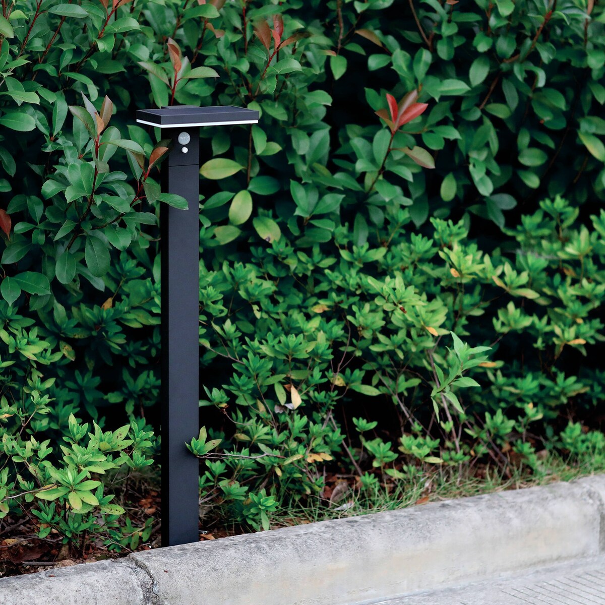 Inowel Solar Outdoor Light Pathway Dusk to Dawn Garden Lighting 17330s