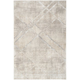 Nourison Home Iliana Indoor only Grey Abstract Area Rug