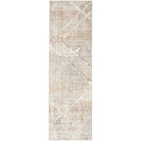 Nourison Home Iliana Indoor only Grey Abstract Area Rug