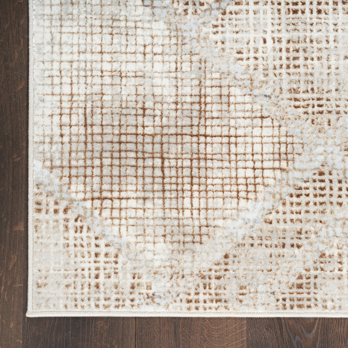 Nourison Home Iliana Indoor only Grey Abstract Area Rug