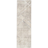 Nourison Home Iliana Indoor only Grey Abstract Area Rug