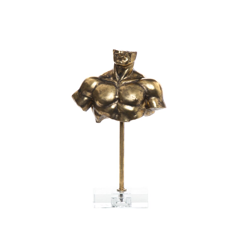 Interior Illusions Plus Male Bust on Acrylic Stand - 12" tall