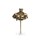 Interior Illusions Plus Male Bust on Acrylic Stand - 12" tall