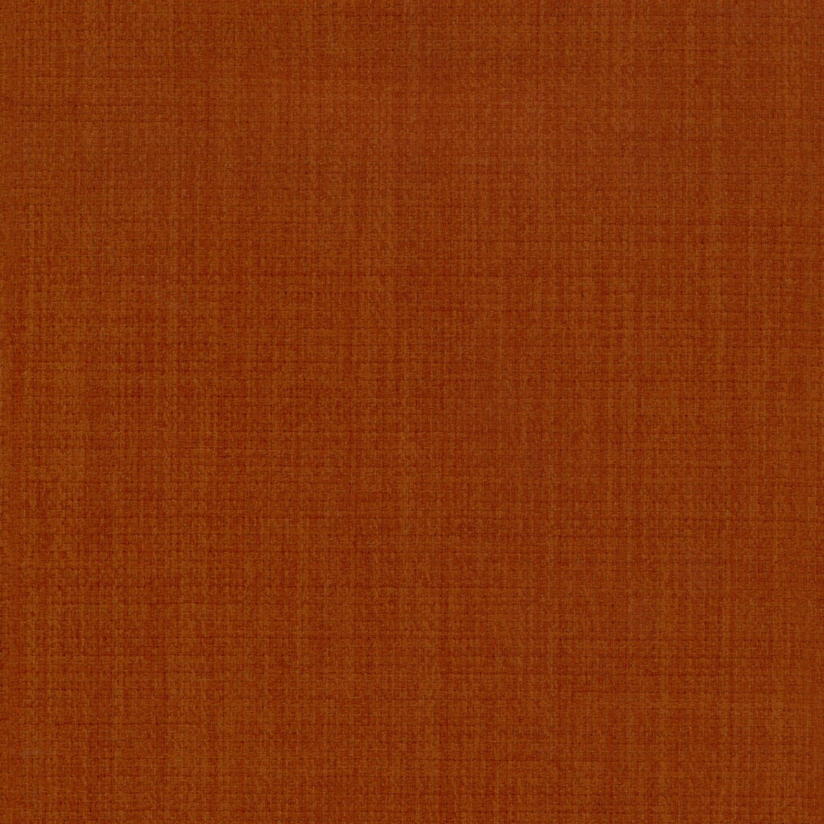 1159169261
