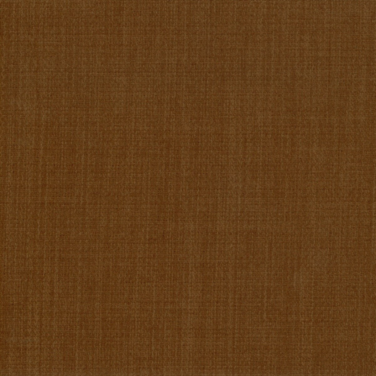 1159169258