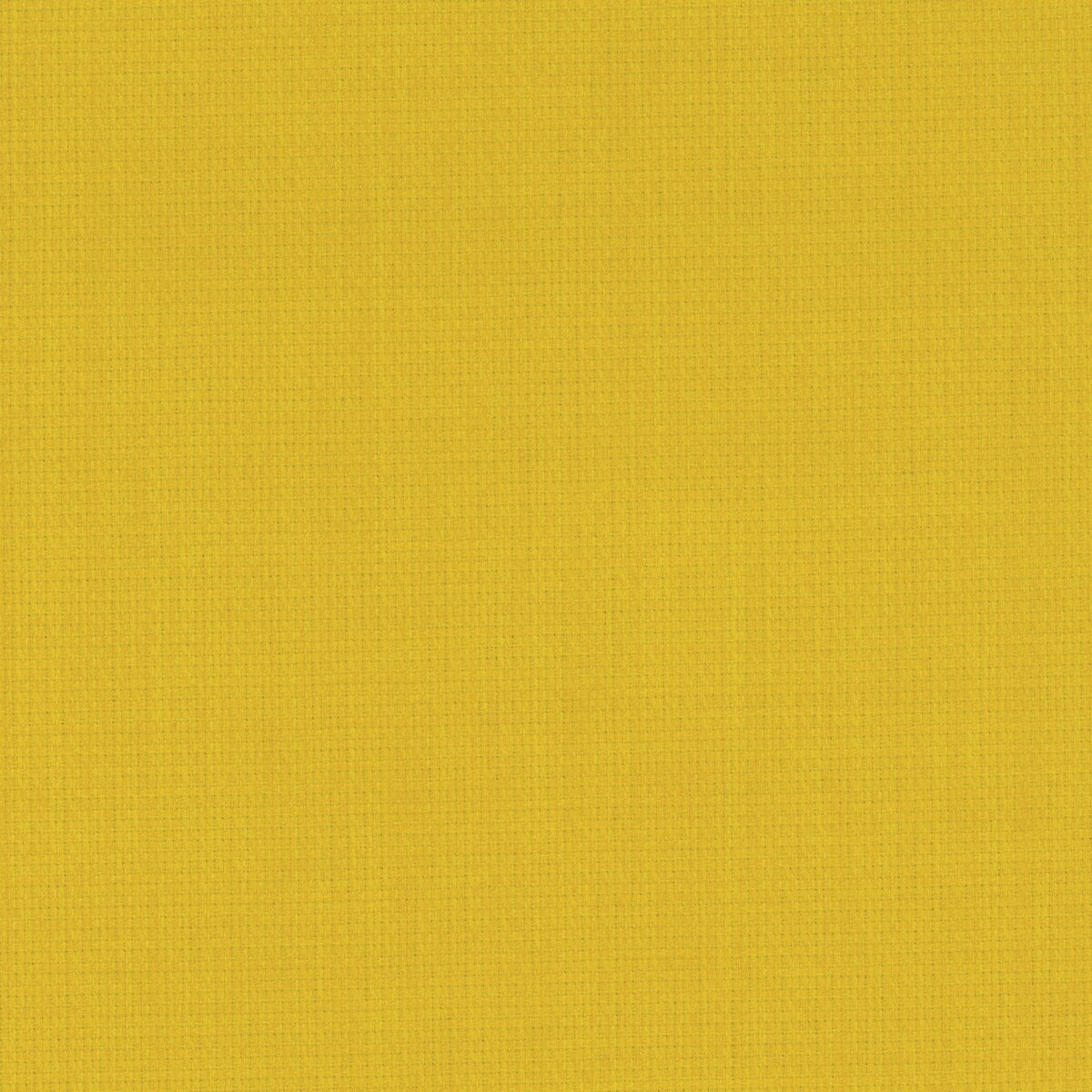 1159169262