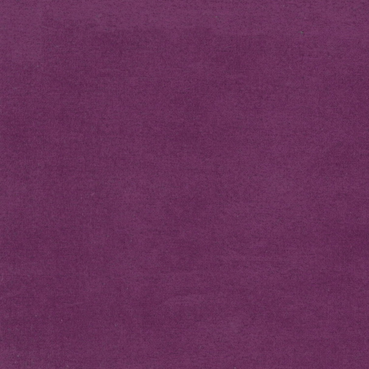 1170091938