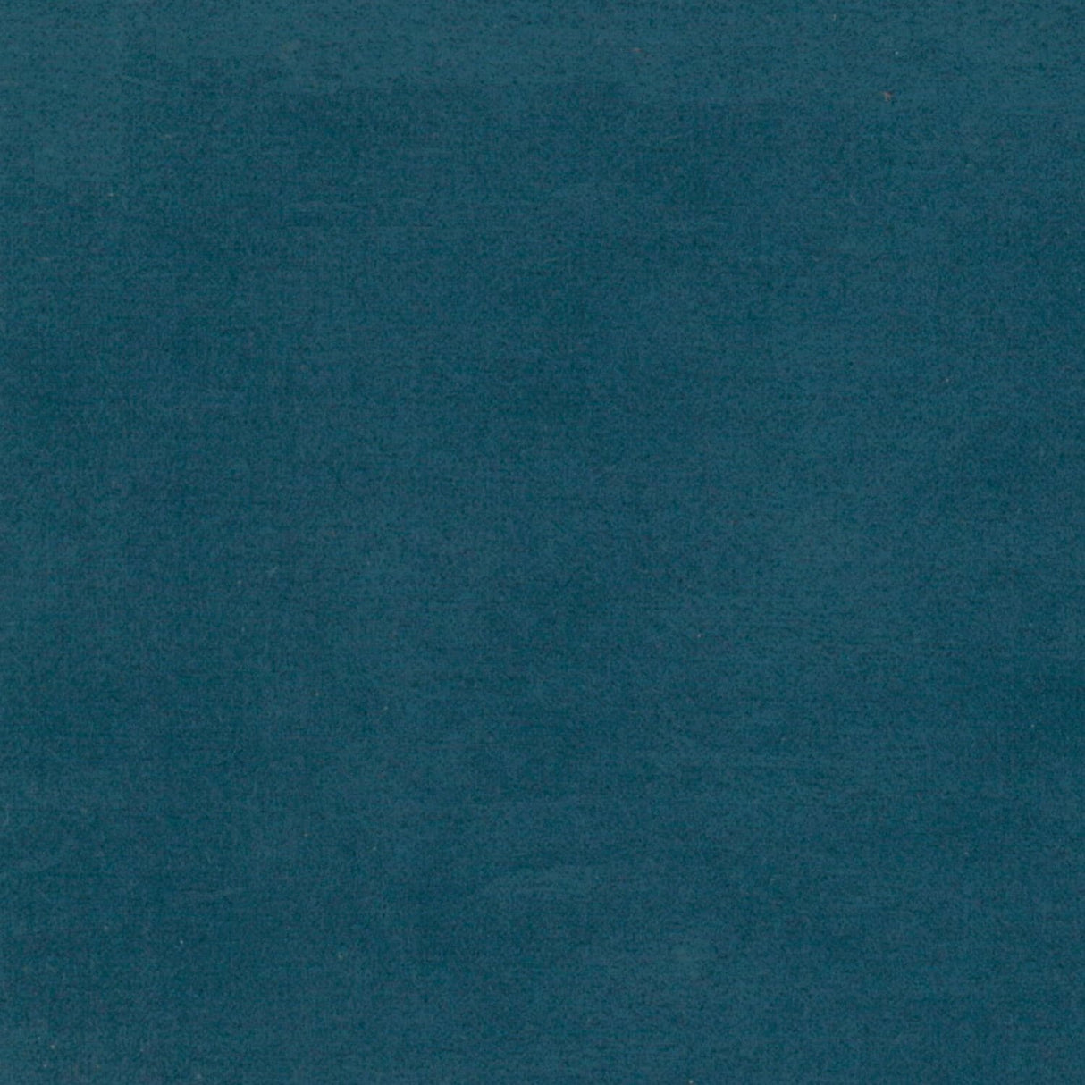 1170091949